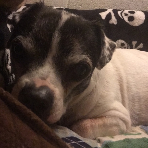 Meet your Posher, Alyssa - Picture 5 of 10